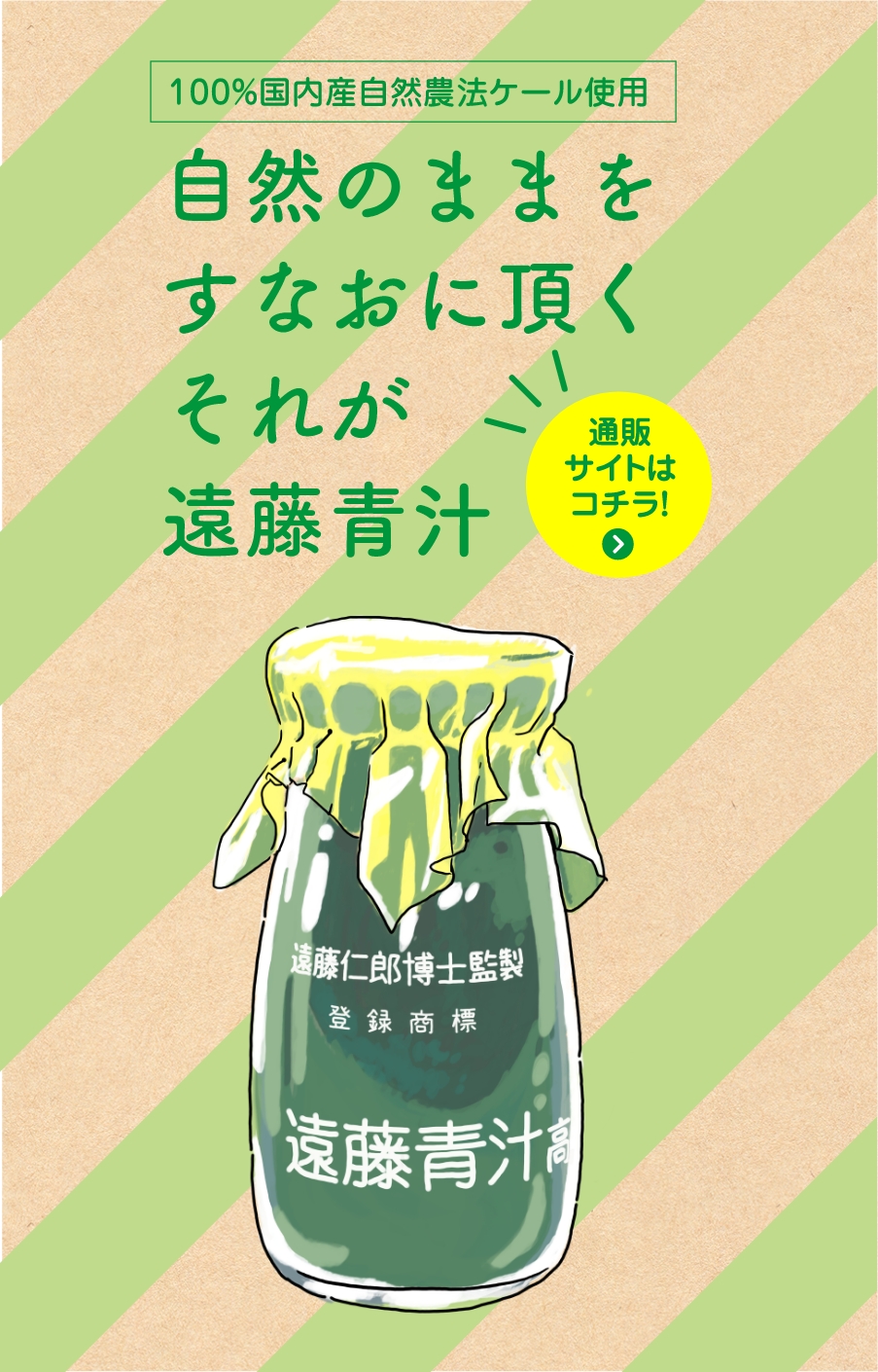 遠藤青汁 ケール100% 粉末青汁 5g×30包<br>ケール青汁 青汁 健康食品 通販