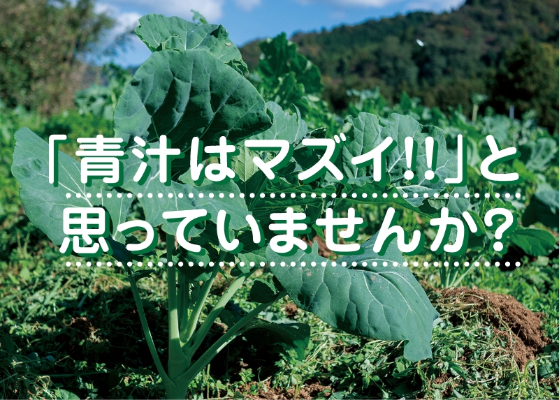 初めて遠藤青汁に来られた方へ　「青汁はマズイ！！」と思っていませんか？